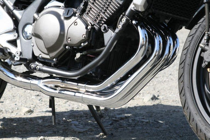 Full Exhaust System 80D-RAPTOR Stainless Steel φ100×370 BALIUS II