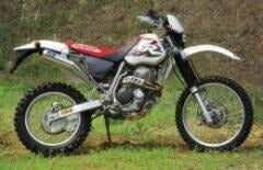 レーシングサイレンサー ステンレス XR400Rプロスキル