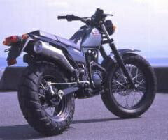 Racing Silencer Stainless TW225