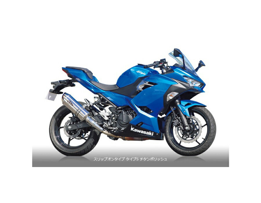 リアルスペック スリップオンタイプマフラー タイプS チタンポリッシュサイレンサー NINJA250 ニンジャ250