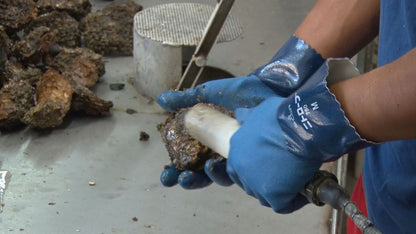 No.750簡易包装ニトローブ ブルー M 10双