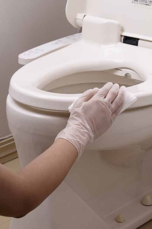 No.806 お手軽手袋 半透明 M 100枚