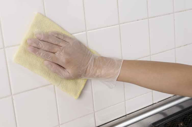 No.806 お手軽手袋 半透明 L 100枚