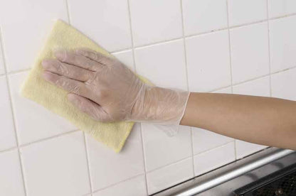 No.806 お手軽手袋 半透明 L 100枚