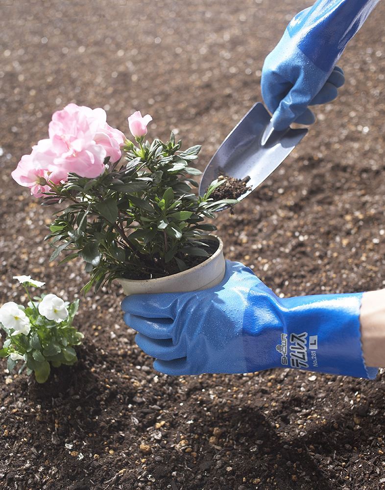 No.281 テムレス ブルー LL 1双