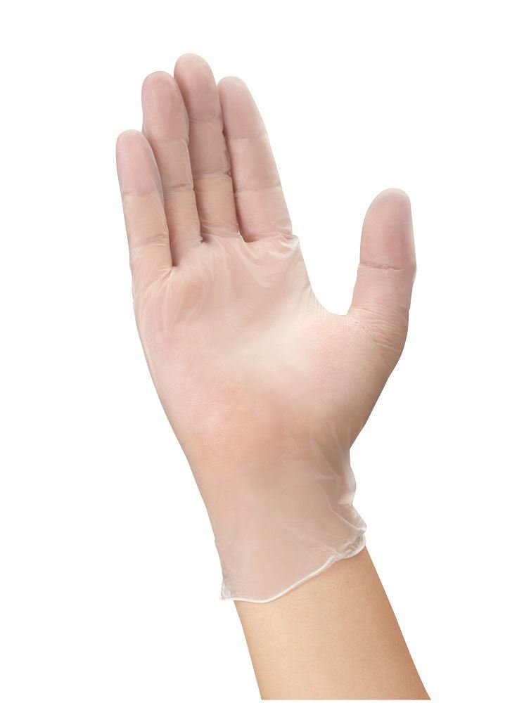 No.809 ビニール手袋 半透明 XS 100枚