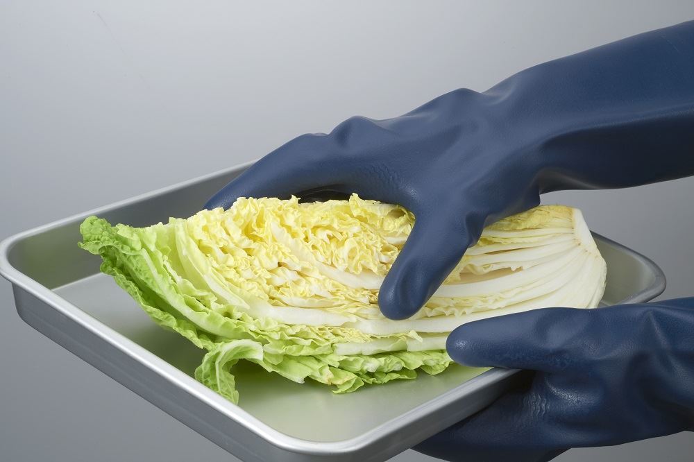 CN751 ニトリルゴム製化学防護手袋 厚手ロングタイプ ブルー L 1双