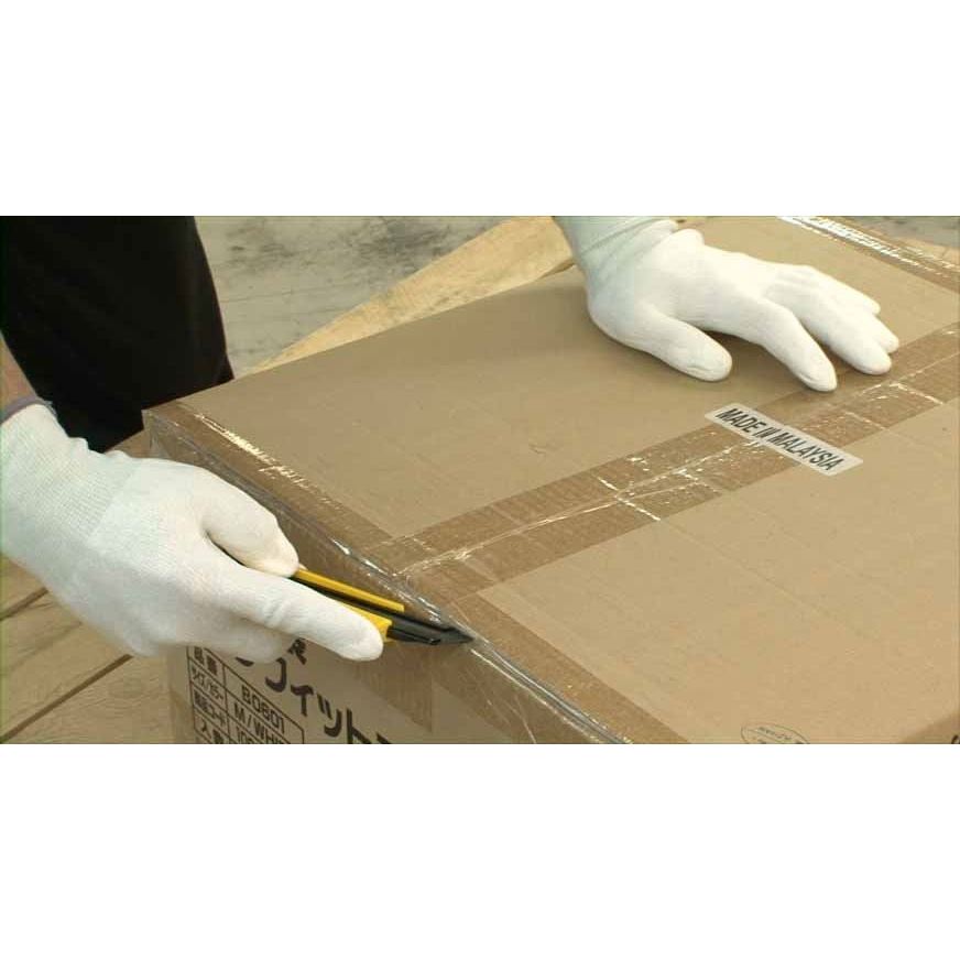 No.540 ケミスターパーム ホワイト M 1双