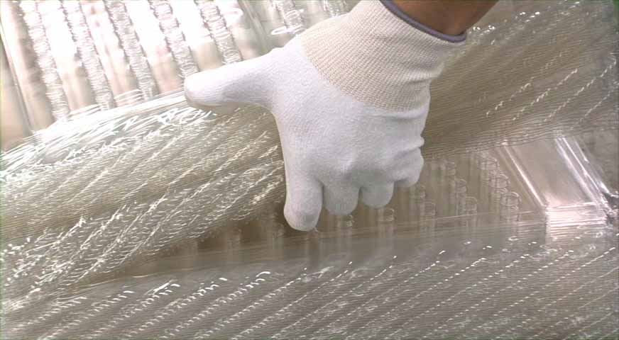 No.540 ケミスターパーム ホワイト M 1双