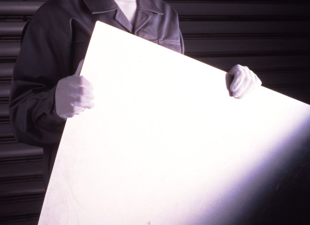 No.540 ケミスターパーム ホワイト M 1双