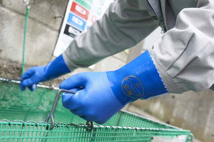 耐油ビニローブ ブルー 青 Mサイズ 1双