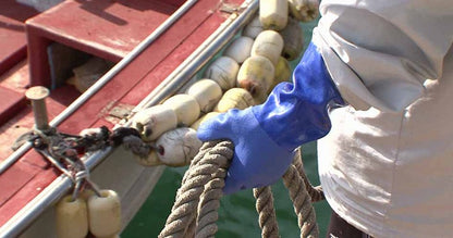 耐油ロング ブルー 青 Lサイズ 1双