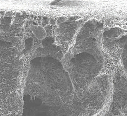 ESDプロテクトトップ手袋 グレー Sサイズ 1双