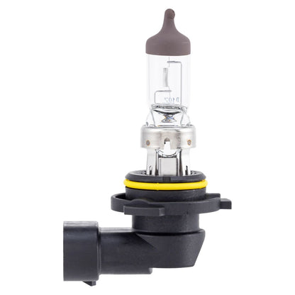 Halogen Bulb HB4 T13.5 12V 51W Clear 1 pc.