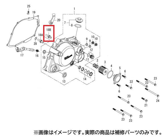 クラッチリフターピン(40MM) ダイカストクラッチカバー用 ドリーム50/エイプ-6速用