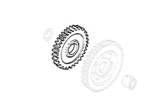 Starter Idler Gear (29T)