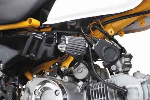 Air Filter Kit (for normal throttle body)