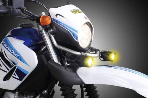 LEDフォグランプキット3.0 950 レモンイエロー 2個入 セロー250