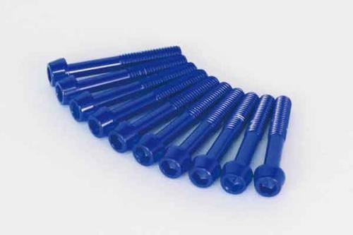 R Crankcase Cover Altec Bolt Cap Blue