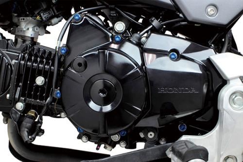 L Crankcase Cover Artec Bolt Kit Flange Blue GROM MSX125 CT125