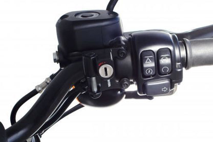 Helmet holder set (with tamper-proof bolts)
