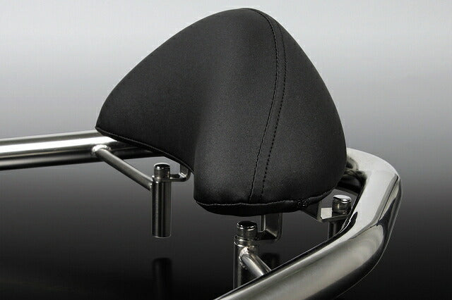 FORZA Si ('13) Grab Bar (with backrest)