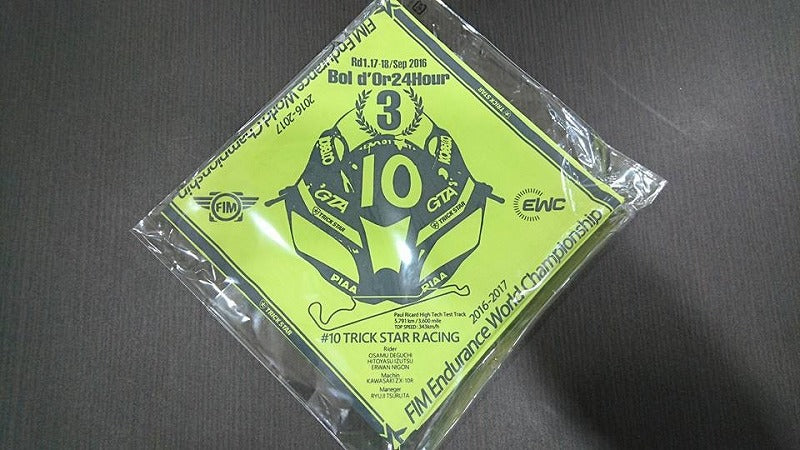 Bordeaux Commemorative Bandana Light Green Light Green