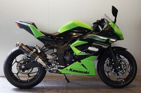 レーシングスリップオンマフラー ショットガン カーボンGP-LOOK Ninja250SL ニンジャ250SL