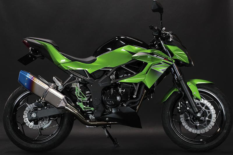 レーシングスリップオンマフラー IKAZUCHI イカヅチサイレンサー Z250SL