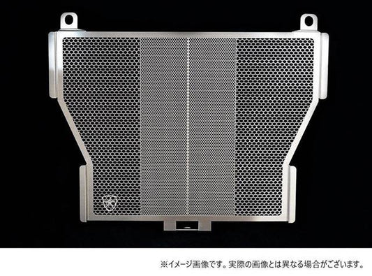Radiator Core Guard, Stainless Steel Silver, BMW S1000RR/R/XR (ALL)