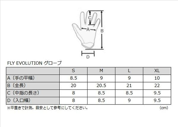 EVOLUTION DST MXグローブ ブラック/グレー