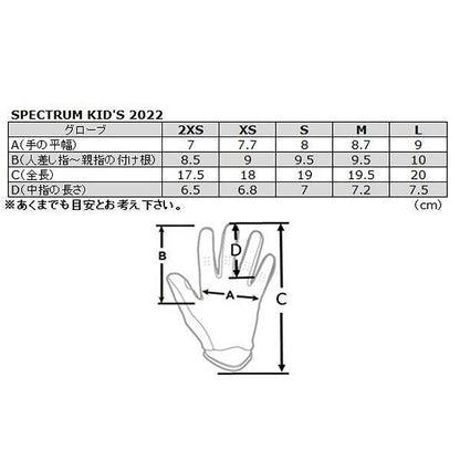 SPECTRUM MXグローブ グレー/ブラック/ミント